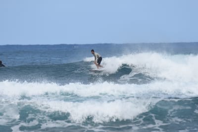DSC_8351.JPG