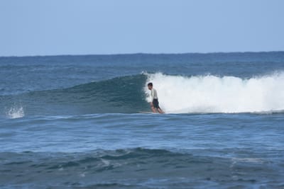 DSC_8360.JPG