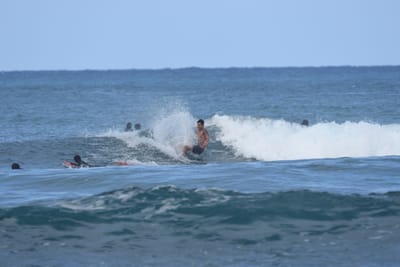 DSC_8366.JPG