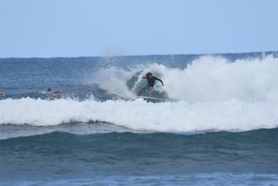 DSC_8370.JPG