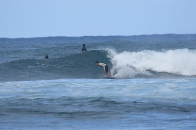 DSC_8372.JPG