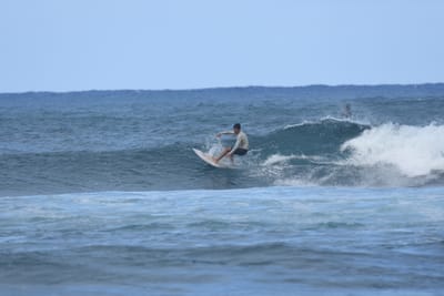 DSC_8375.JPG