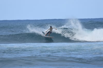 DSC_8377.JPG