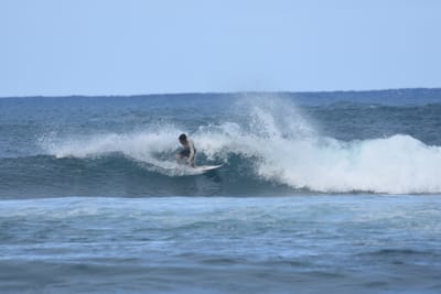 DSC_8378.JPG