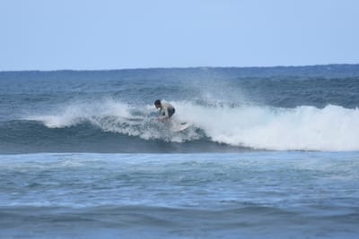 DSC_8379.JPG