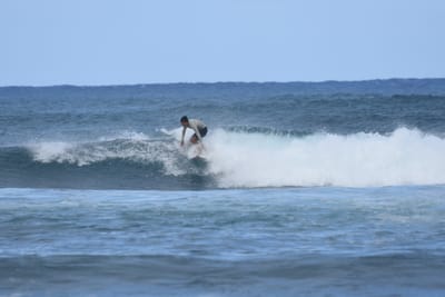 DSC_8380.JPG