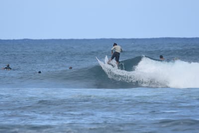 DSC_8381.JPG