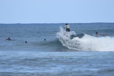 DSC_8382.JPG