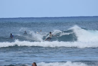 DSC_8384.JPG