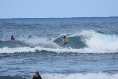 DSC_8386.JPG