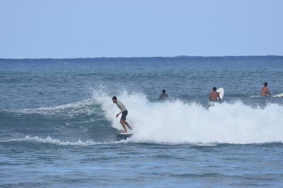 DSC_8388.JPG