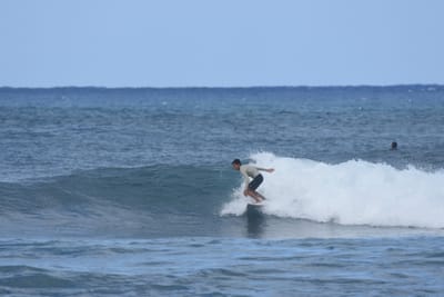 DSC_8390.JPG