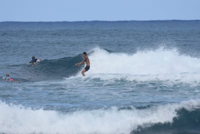DSC_8398.JPG