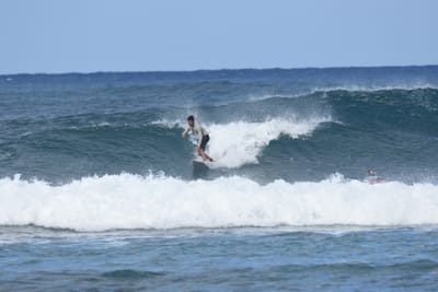 DSC_8401.JPG