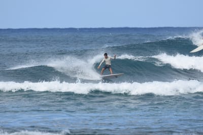 DSC_8411.JPG