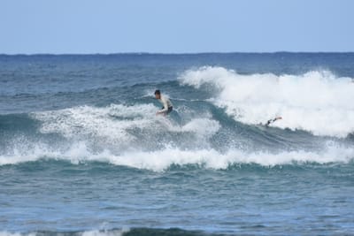 DSC_8414.JPG