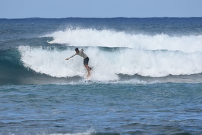 DSC_8417.JPG