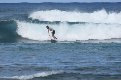 DSC_8419.JPG