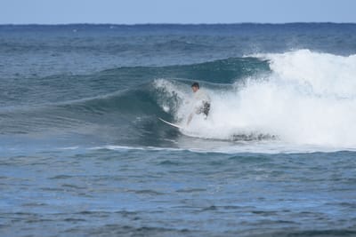 DSC_8424.JPG