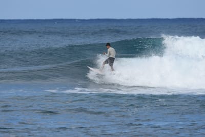 DSC_8426.JPG