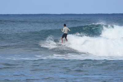 DSC_8428.JPG