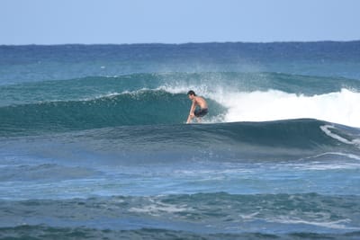 DSC_8431.JPG