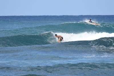 DSC_8436.JPG