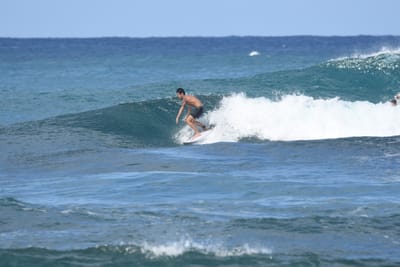 DSC_8440.JPG