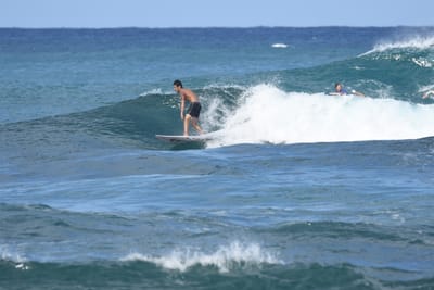 DSC_8441.JPG