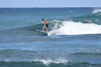 DSC_8442.JPG