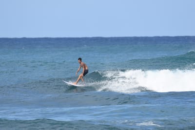DSC_8445.JPG