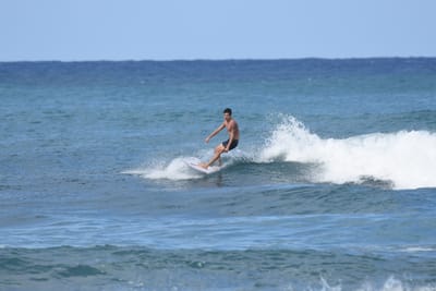 DSC_8446.JPG