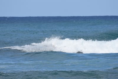 DSC_8452.JPG