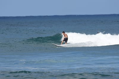 DSC_8454.JPG