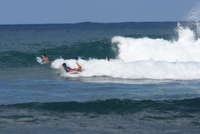 DSC_8460.JPG