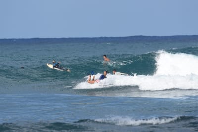 DSC_8462.JPG