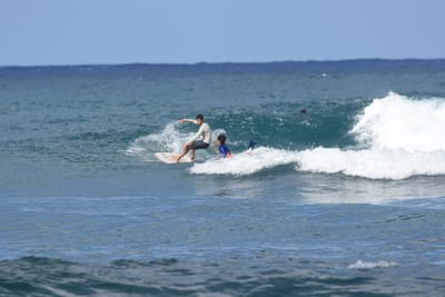 DSC_8464.JPG
