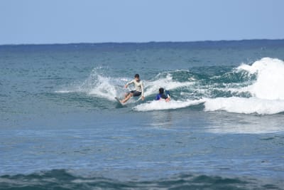 DSC_8466.JPG