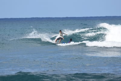 DSC_8468.JPG