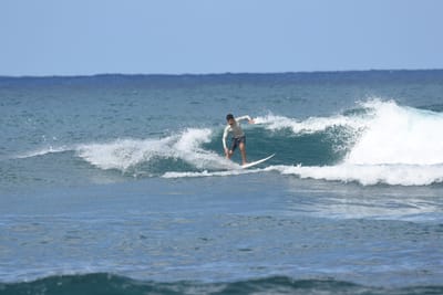 DSC_8469.JPG