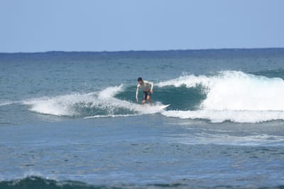 DSC_8470.JPG