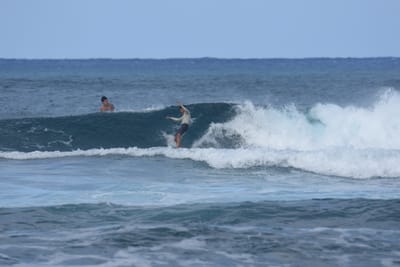 DSC_8480.JPG