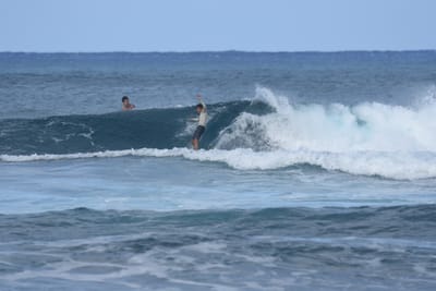 DSC_8481.JPG