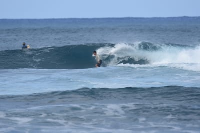 DSC_8483.JPG