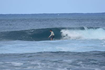 DSC_8484.JPG
