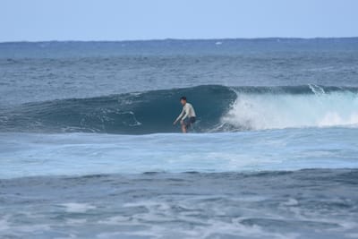 DSC_8485.JPG