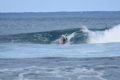 DSC_8486.JPG