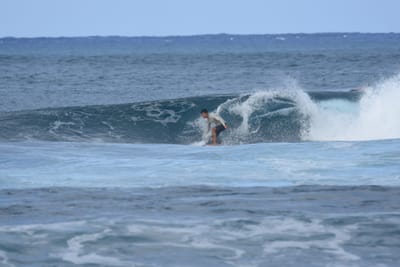 DSC_8487.JPG