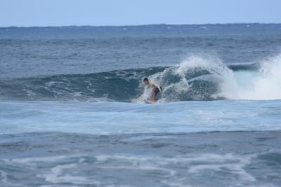 DSC_8488.JPG