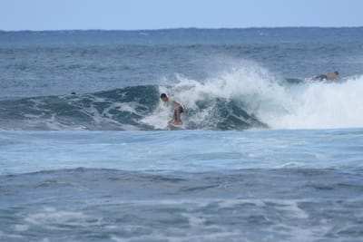 DSC_8490.JPG